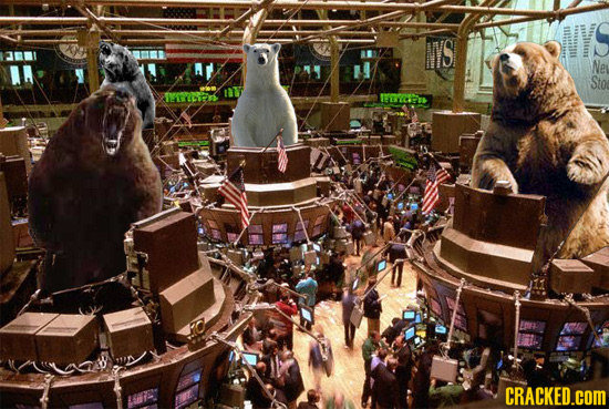 WYS Ne Sto CRACKED.COM