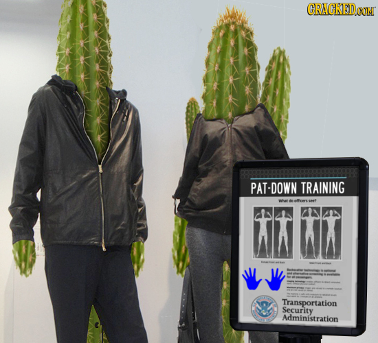 CRACKEDCO PAT-DOWN TRAINING what de aficers wt - T Transportation Security Administration