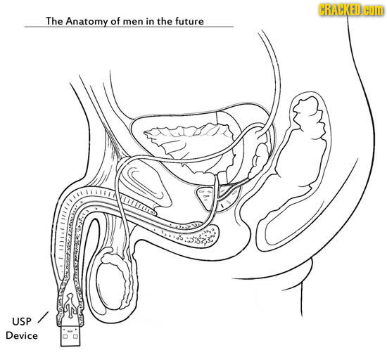 CRACKED. COm The Anatomy of men in the future FHRED USP Device