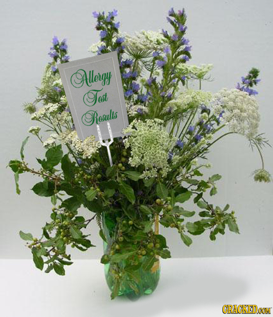 Alergy Tast Resulis CRACKED CON