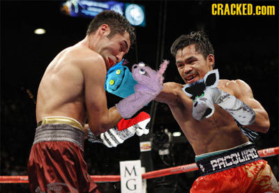 CRACKED.CO moin PACOLUIRO M G