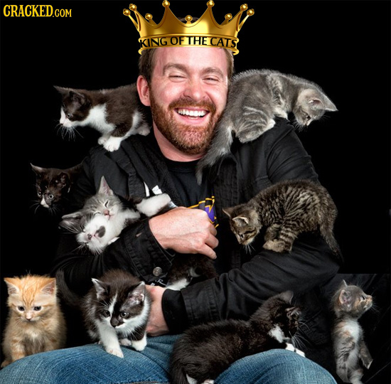 KING OF THE CATS 