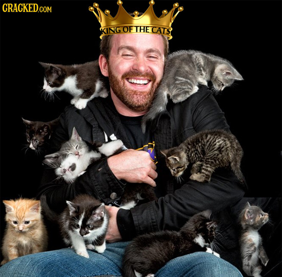 KING OF THE CATS