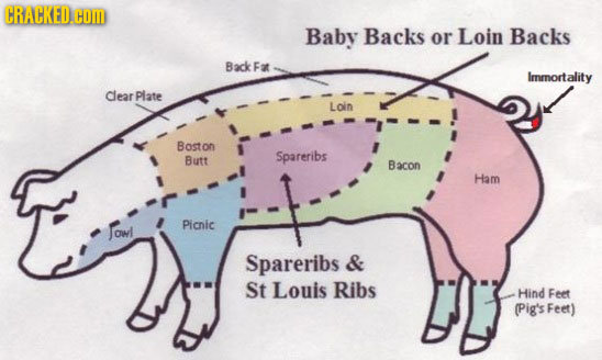 CRACKED.COM Baby Backs or Loin Backs Back Fat Immortality Clear Plate Loin Boston Butt Spareribs Bacon Ham OI Picnic Spareribs & St Louis Ribs Hind Fe