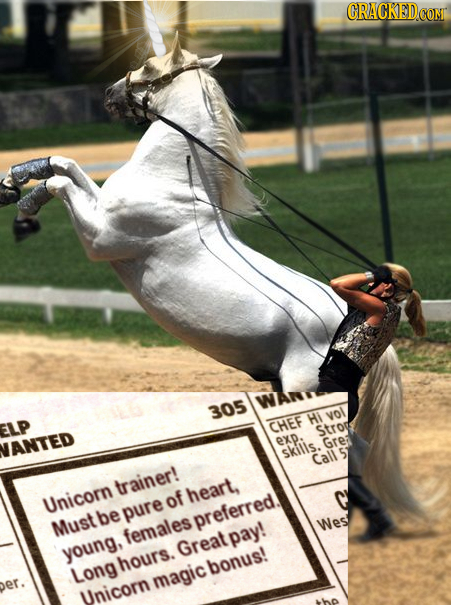 CRACKEDCO WANTL 305 HI vol ELP CHEF Stros exp. ANTED Gre: skilis. Call trainer! of heart, Unicorn pure Mustb preferred. Wes females young, Great pay!