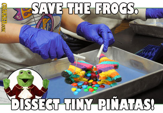 CRACKEDCON SAVE THE FROGS. DISSECT TINY PINATAS!