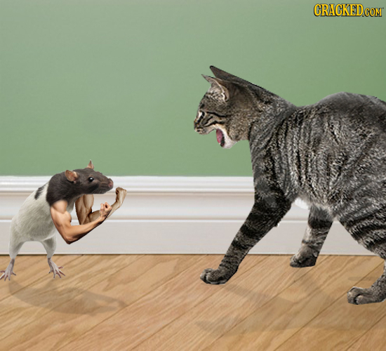 The 21 Biggest Flaws Nature Should Have Fixed By Now