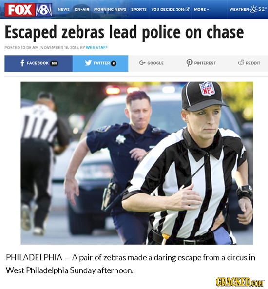 FOX NEWS ON-AIR MORNING NEWS SPORTS YOU DECIDE 2016 2 MORE - WEATHER Escaped zebras lead police on chase POSTED10 08 NOVEMBER 16 2015. BY WEBSTAFF f F