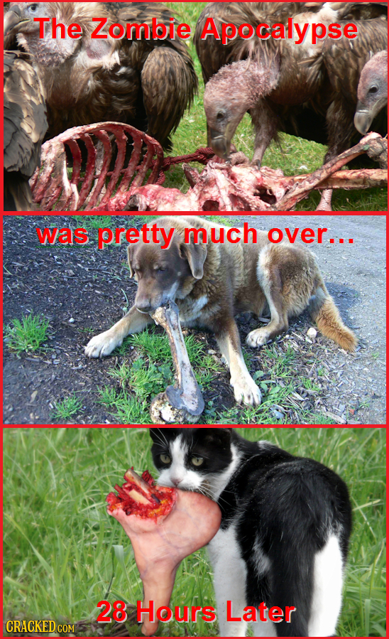 22 Famous Horror Movies (If They Were Realistic)