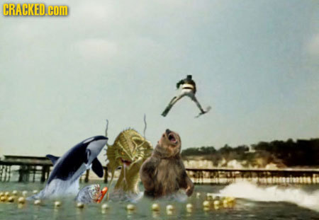 CRACKED.COM mnehensisis