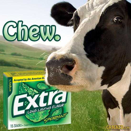 Chew Accepted by the American De wrigy Extra FLAVOR LASTING LONG SPEAPMINT 15 Sticks. Sugarfree CRACKEDCOMT 