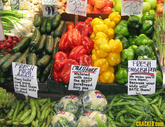 cucus 39 99 POUND EACH FRESH FLESH CAUFauR FAYA, Nlisitpa Watered with only We kenow yoult They taste the Love them... Like BEST poop, purebreed Becau