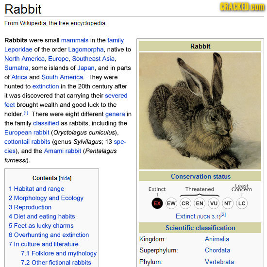 Rabbit CRACKED.C From Wikipedia, the free encyclopedia Rabbits were small mammals in the family Rabbit Leporidae of the order Lagomorpha, native to No