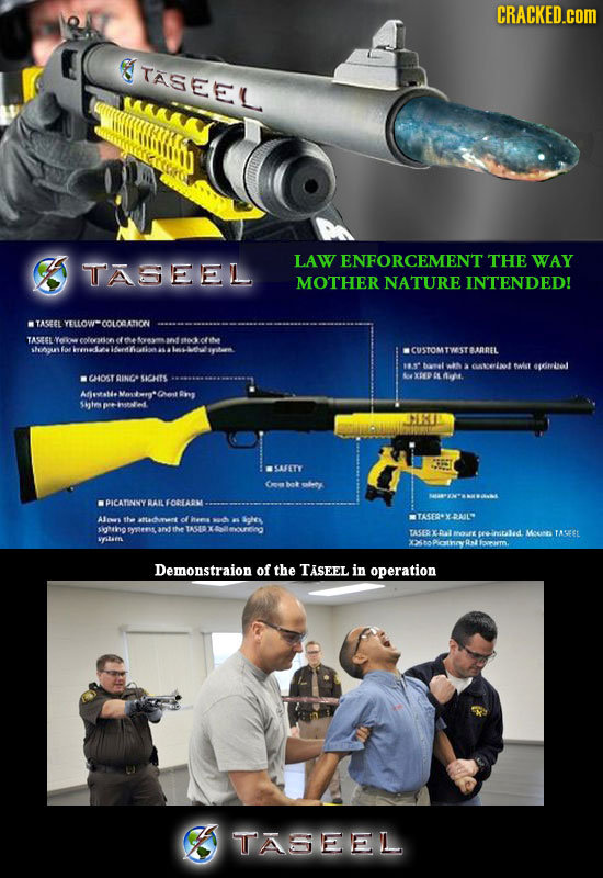 CRACKED.COM TASEEL MA LAW THE WAY TASEEL ENFORCEMENT MOTHER NATURE INTENDED! WTASEEL YELLOW-COLORLATION TASESL shgurs fot WCUSTOMTISTRREL eLALST oirin