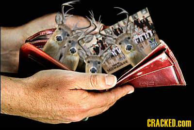 Fi hcas MIWE CRACKED.COM