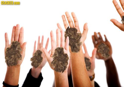 If Old Wives Tales Turned Out to be True