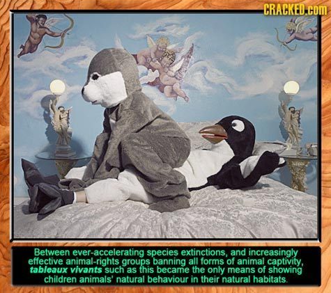 CRACKED. com Between ever-accelerating species extinctions, and increasingly effective animal-rights groups banning all forms of animal captivity. tab