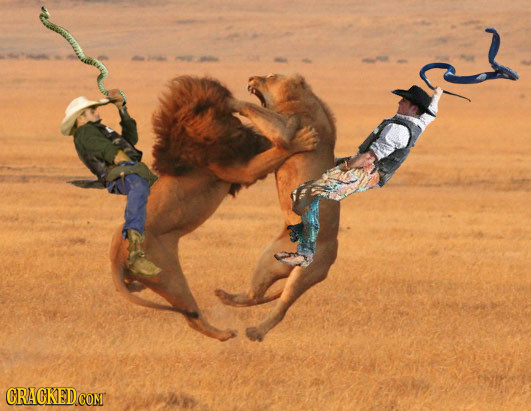 28 Awesome Ways to Spend One Day of Invincibility