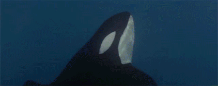 25 Great Movie Scenes (Ruined By Product Placement)