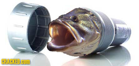 If We Used Animals Like 'The Flintstones'