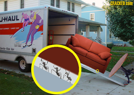 CRACKED.COM HAUL USA fOUrvENT DIEST COst VAR NEW KORK Gentle- Ride Van F2