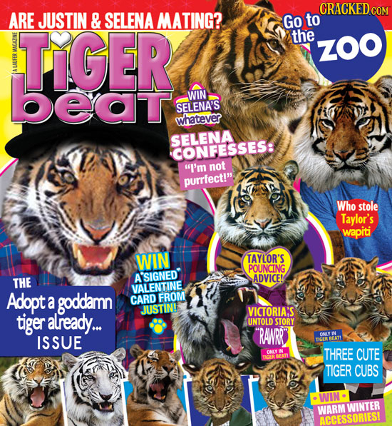 CRACKED cO ARE JUSTIN & SELENA MATING? Go to TIGER the ZOO AD beat LAUT WIN SELENA'S whatever SELENA CONFESSES: I'm not purrfect!. Who stole Taylor'