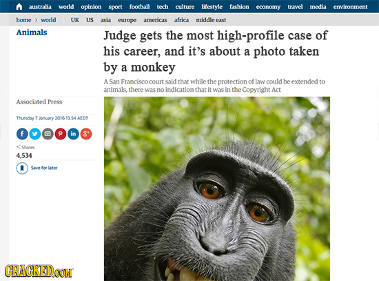 austala world opinion sport football tech culture Nfestyle fashion economy travel media environment home world UK US asia europe americas africa middl