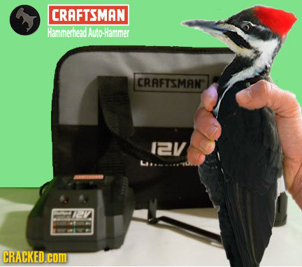 CRAFTSMAN Hammerhead Auto-Hammer CRAFTSMAN 12V CRACKED.COM 