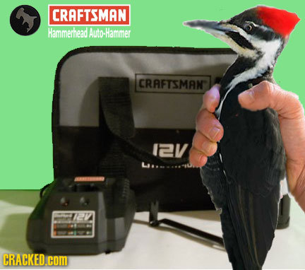 CRAFTSMAN Hammerhead Auto-Hammer CRAFTSMAN 12V CRACKED.COM