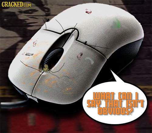 CRACKED.com WHAT CAN SAY HAT ISM'T OBUIOUS2