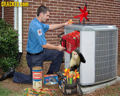 CRACKED. com KERIS res