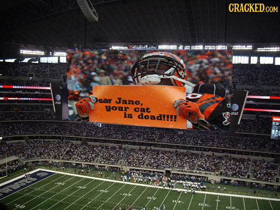 CRACKED.COM 88t#tt i tattet HHT Dear Jane, atst your cat is dead! atat