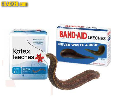 If We Used Animals Like 'The Flintstones'