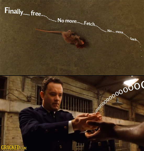 Finally.... free.... No more...... .Fetch.. No.... more. nnno000ooono CRACKED COM