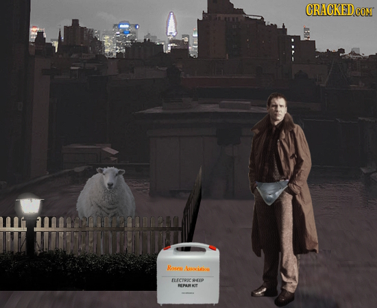 CRACKEDcO COM M $102AIDLEI Roseu Assoaation ELECTRIC SHEFP REPARKIT