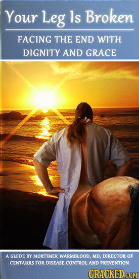 Your Leg ls Broken FACING THE END WITH DIGNITY AND GRACE A GUIDE BY MORTIMER WARMBLOOD. MD. DIRECTOR OF CENTAURS FOR DISEASE CONTROL AND PREVENTION CR