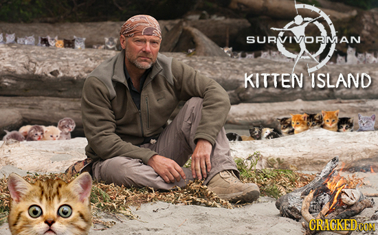 SURVIVORMAN KITTEN ISLAND CRAGKEDCO