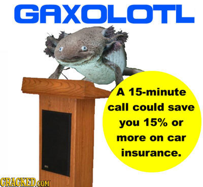 GAXOLOTL A 15-minute call could save you 15% or more on car insurance. GRAGKEDCOM 
