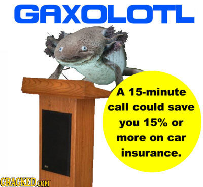 GAXOLOTL A 15-minute call could save you 15% or more on car insurance. GRAGKEDCOM