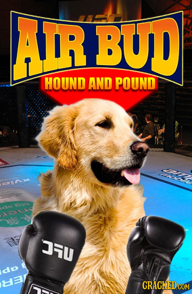 ADRBUD HOUND AND POUND e LIT JU do