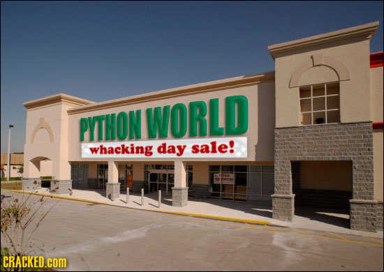 PITHON WORLD whacking day sale! CRACKED.cOM