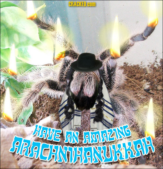 CRACKED.COM HAYE JRRACNIHNURRSH AN ASnAZING