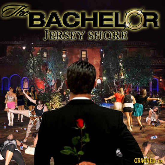 Tha BACHELOR JERSEY SHORE pn CRACKEDCOMT