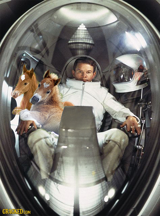 Movies That Suddenly Make Sense When You Add These Scenes