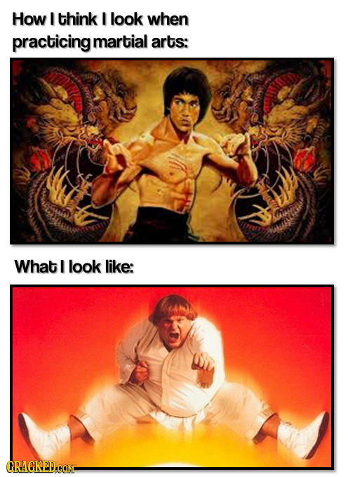 How I think I look when practicing martial arts: What I look like: CRACKEDCON
