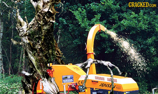 lLLLIL WILDLILI CE JENSE OGS IT WESSI