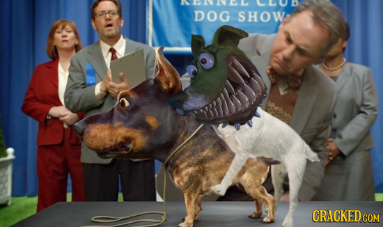 DOG SHOW CRACKED CON