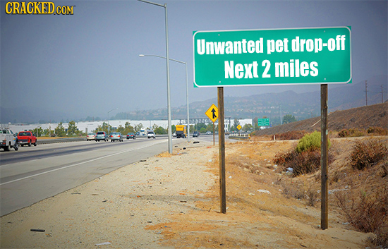 CRACKEDcO Unwanted pet drop-off Next 2 miles