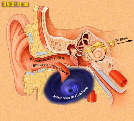 CRACKED.COM ToBrain Canal P Primary Auditory spouse's yaice Canal Womnole to Nowhere