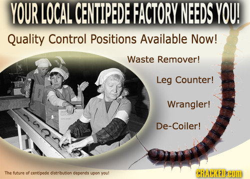 YOUR LOCAL CENTIPEDE FACTORY NEEDS YOU! Quality Control Positions Available Now! Waste Remover! Leg Counter! Wrangler! U De-Coiler! The future of cent
